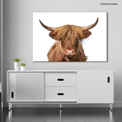 Majestic Highland Portrait Cow's Headshot Against a White Canvas