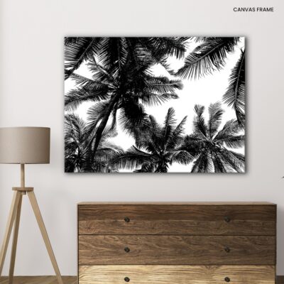 Monochrome Oasis Enchanting Coconut Tree Forest in Black and White