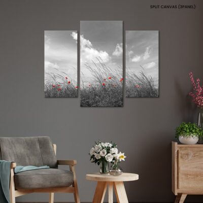 Monochrome Wilderness Red Poppies Dance Amidst Black and White Meadows under a Sky of Dreams