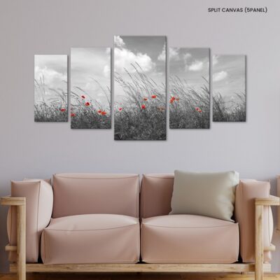 Monochrome Wilderness Red Poppies Dance Amidst Black and White Meadows under a Sky of Dreams