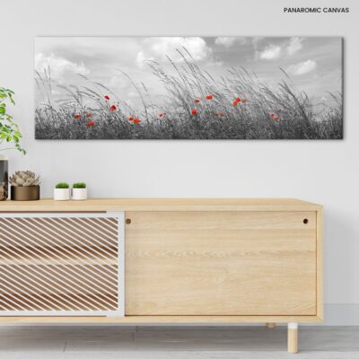Monochrome Wilderness Red Poppies Dance Amidst Black and White Meadows under a Sky of Dreams